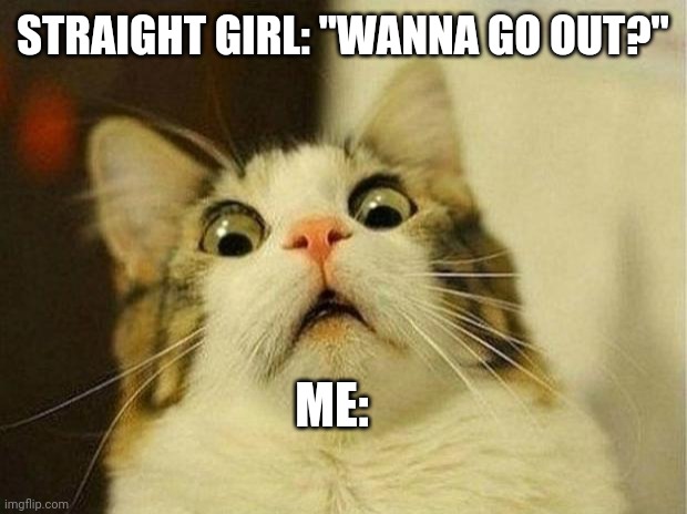 Scared Cat | STRAIGHT GIRL: "WANNA GO OUT?"; ME: | image tagged in memes,scared cat | made w/ Imgflip meme maker
