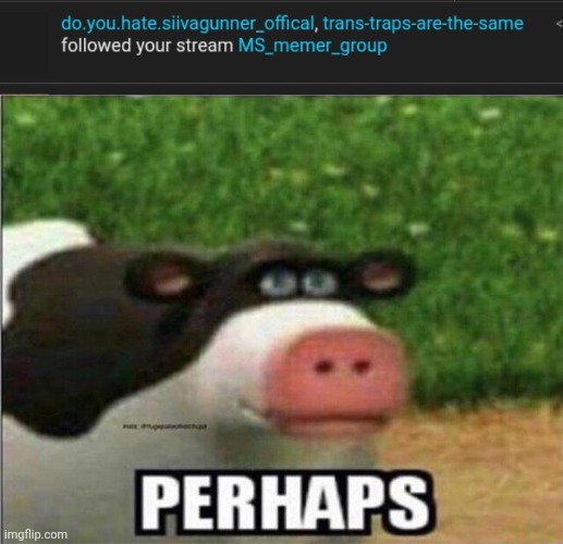 image tagged in perhaps cow | made w/ Imgflip meme maker