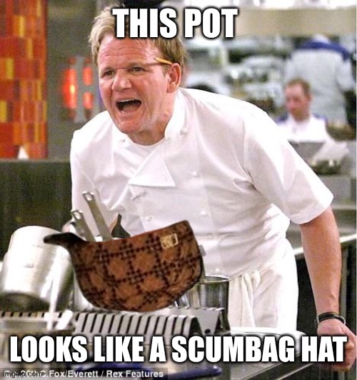 Chef Gordon Ramsay | THIS POT; LOOKS LIKE A SCUMBAG HAT | image tagged in memes,chef gordon ramsay,oh wow are you actually reading these tags | made w/ Imgflip meme maker