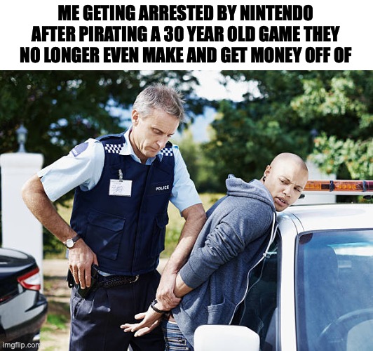 they are so protective of their property man | ME GETING ARRESTED BY NINTENDO
AFTER PIRATING A 30 YEAR OLD GAME THEY NO LONGER EVEN MAKE AND GET MONEY OFF OF | image tagged in meme | made w/ Imgflip meme maker