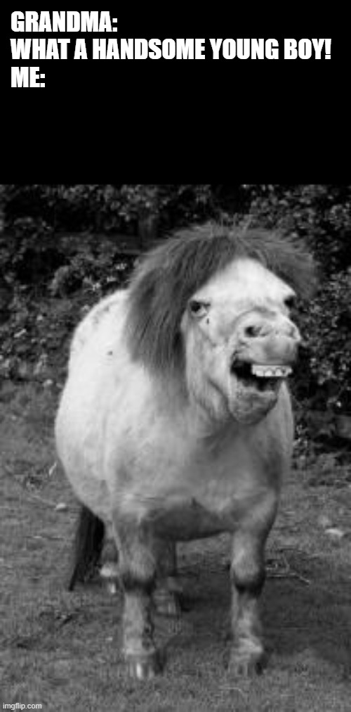 ugly horse | GRANDMA: WHAT A HANDSOME YOUNG BOY!
ME: | image tagged in ugly horse | made w/ Imgflip meme maker