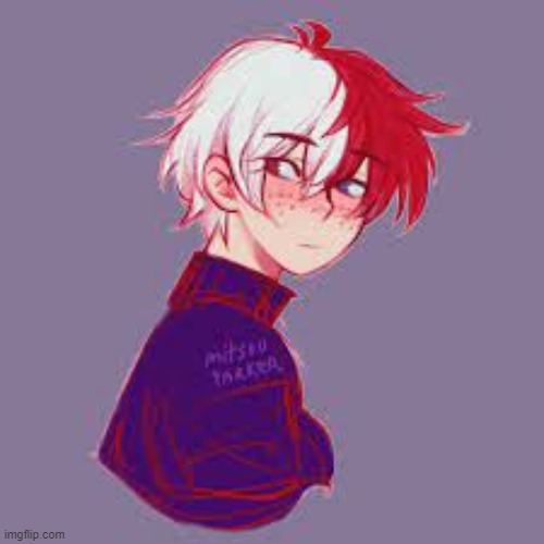 Enjoy this cute fanart of Todoroki ^w^ | made w/ Imgflip meme maker