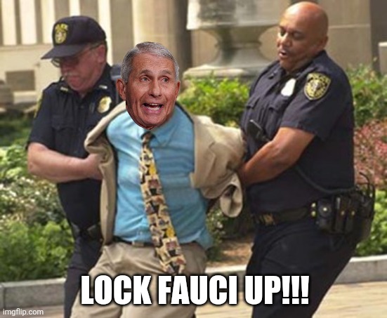 It's long overdue. | LOCK FAUCI UP!!! | image tagged in memes | made w/ Imgflip meme maker