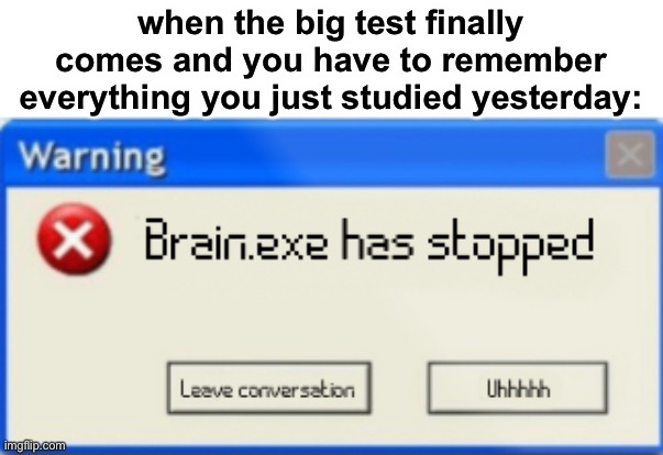 true lol | when the big test finally comes and you have to remember everything you just studied yesterday: | image tagged in brain exe has stopped,funny,school,test | made w/ Imgflip meme maker