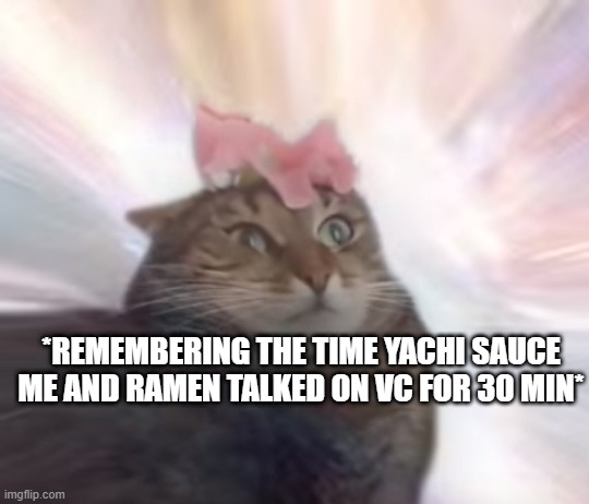 the prophecy was true cat | *REMEMBERING THE TIME YACHI SAUCE ME AND RAMEN TALKED ON VC FOR 30 MIN* | image tagged in the prophecy was true cat | made w/ Imgflip meme maker