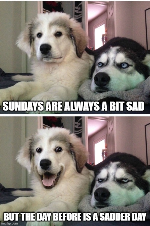 Bad pun dogs |  SUNDAYS ARE ALWAYS A BIT SAD; BUT THE DAY BEFORE IS A SADDER DAY | image tagged in bad pun dogs | made w/ Imgflip meme maker