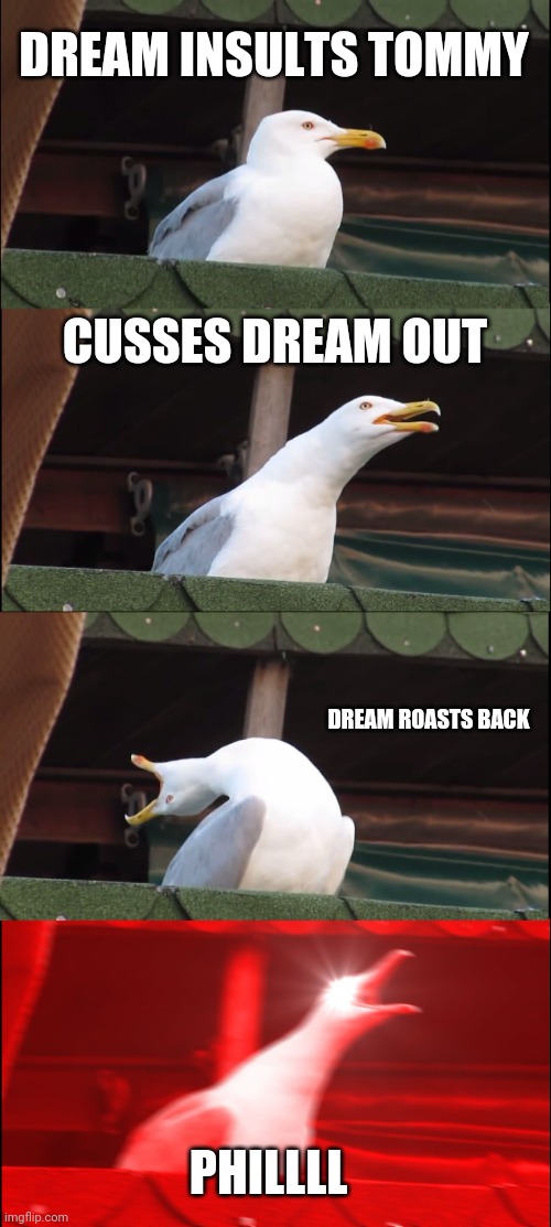 Inhaling Seagull Meme | DREAM INSULTS TOMMY; CUSSES DREAM OUT; DREAM ROASTS BACK; PHILLLL | image tagged in memes,inhaling seagull | made w/ Imgflip meme maker