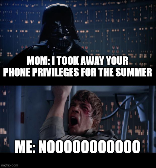 When Your Mom Doesn't Allow You To Play During Summer Break | MOM: I TOOK AWAY YOUR PHONE PRIVILEGES FOR THE SUMMER; ME: NOOOOOOOOOOO | image tagged in memes,star wars no | made w/ Imgflip meme maker