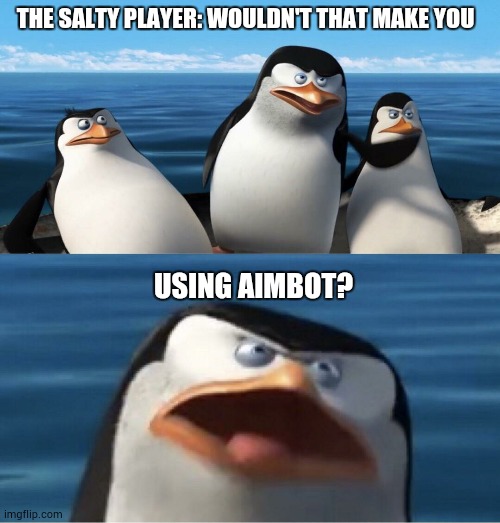 when i get a lucky headshot after missing ten times | THE SALTY PLAYER: WOULDN'T THAT MAKE YOU; USING AIMBOT? | image tagged in wouldn't that make you | made w/ Imgflip meme maker