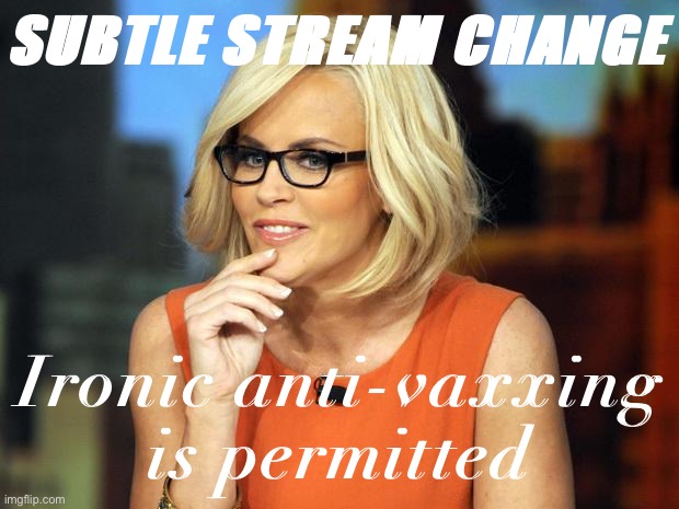 Mod Note: Do not construe stream rules in such a way as to throttle your own creativity when it comes to roasting anti-vaxxers. | SUBTLE STREAM CHANGE; Ironic anti-vaxxing is permitted | image tagged in jenny mccarthy antivax,antivax,anti-vaxx,vaccines,vaccine,vaccinations | made w/ Imgflip meme maker