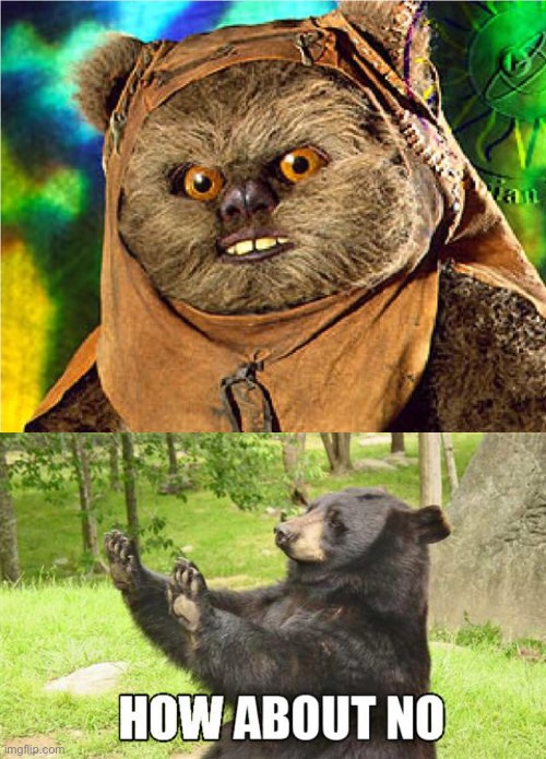No | image tagged in memes,how about no bear,ew | made w/ Imgflip meme maker