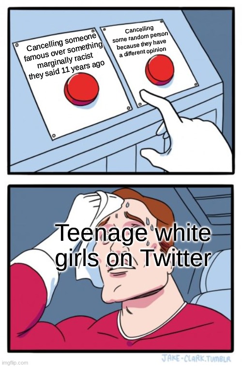 Hippity hoppity this needs to stoppity | Cancelling some random person because they have a different opinion; Cancelling someone famous over something marginally racist they said 11 years ago; Teenage white girls on Twitter | image tagged in memes,two buttons,cancel culture,twitter,white girls | made w/ Imgflip meme maker