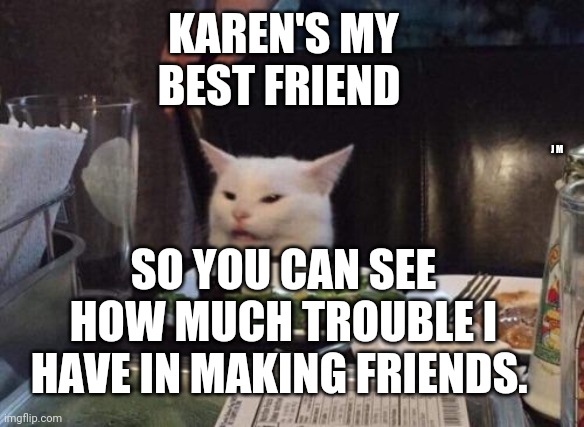 Salad cat | KAREN'S MY BEST FRIEND; J M; SO YOU CAN SEE HOW MUCH TROUBLE I HAVE IN MAKING FRIENDS. | image tagged in salad cat | made w/ Imgflip meme maker