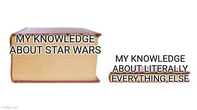 Fun fact : Spice is drugs in Star Wars. | MY KNOWLEDGE ABOUT STAR WARS; MY KNOWLEDGE ABOUT LITERALLY EVERYTHING ELSE | image tagged in big book small book | made w/ Imgflip meme maker