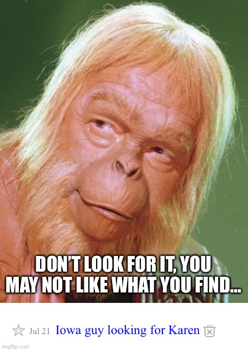 DON’T LOOK FOR IT, YOU MAY NOT LIKE WHAT YOU FIND… | image tagged in dr zaius,karen,craigslist | made w/ Imgflip meme maker