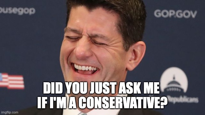 Ryan | DID YOU JUST ASK ME 
IF I'M A CONSERVATIVE? | image tagged in paul ryan meme | made w/ Imgflip meme maker