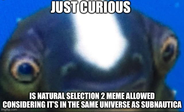 Also the stream description should have “Warning: Multiple spoilers in this area. Are you sure whatever you’re doing is worth it | JUST CURIOUS; IS NATURAL SELECTION 2 MEME ALLOWED CONSIDERING IT’S IN THE SAME UNIVERSE AS SUBNAUTICA | image tagged in subnautica seamoth cuddlefish | made w/ Imgflip meme maker