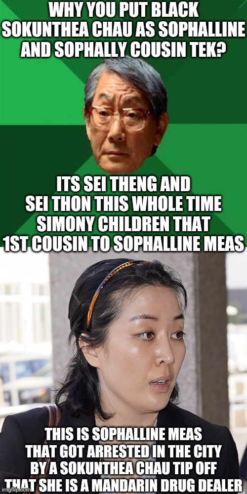 FAMILY GUY TEK | WHY YOU PUT BLACK SOKUNTHEA CHAU AS SOPHALLINE AND SOPHALLY COUSIN TEK? ITS SEI THENG AND SEI THON THIS WHOLE TIME SIMONY CHILDREN THAT 1ST COUSIN TO SOPHALLINE MEAS; THIS IS SOPHALLINE MEAS THAT GOT ARRESTED IN THE CITY BY A SOKUNTHEA CHAU TIP OFF THAT SHE IS A MANDARIN DRUG DEALER | image tagged in memes,high expectations asian father | made w/ Imgflip meme maker