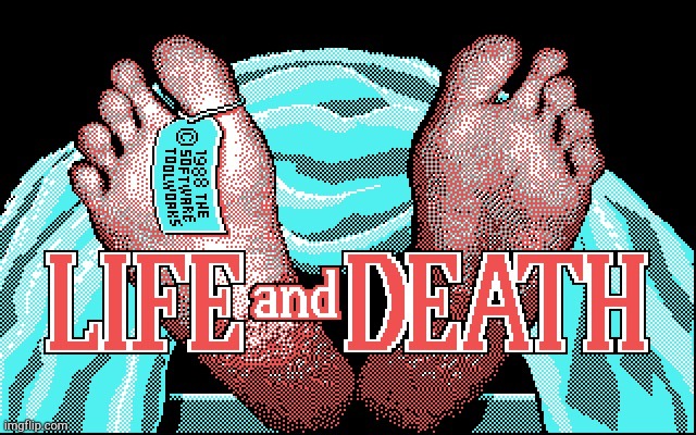 Life and Death game | image tagged in life and death game | made w/ Imgflip meme maker