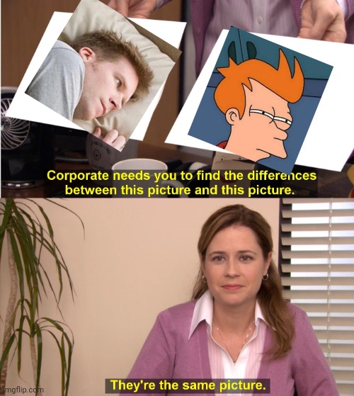fry vs frys | image tagged in memes,they're the same picture,futurama fry | made w/ Imgflip meme maker