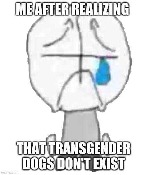 Cri. | ME AFTER REALIZING; THAT TRANSGENDER DOGS DON'T EXIST | image tagged in sadness combat grunt | made w/ Imgflip meme maker