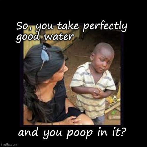 wasting water? | So, you take perfectly 
good water; and you poop in it? | image tagged in third world skeptical kid | made w/ Imgflip meme maker