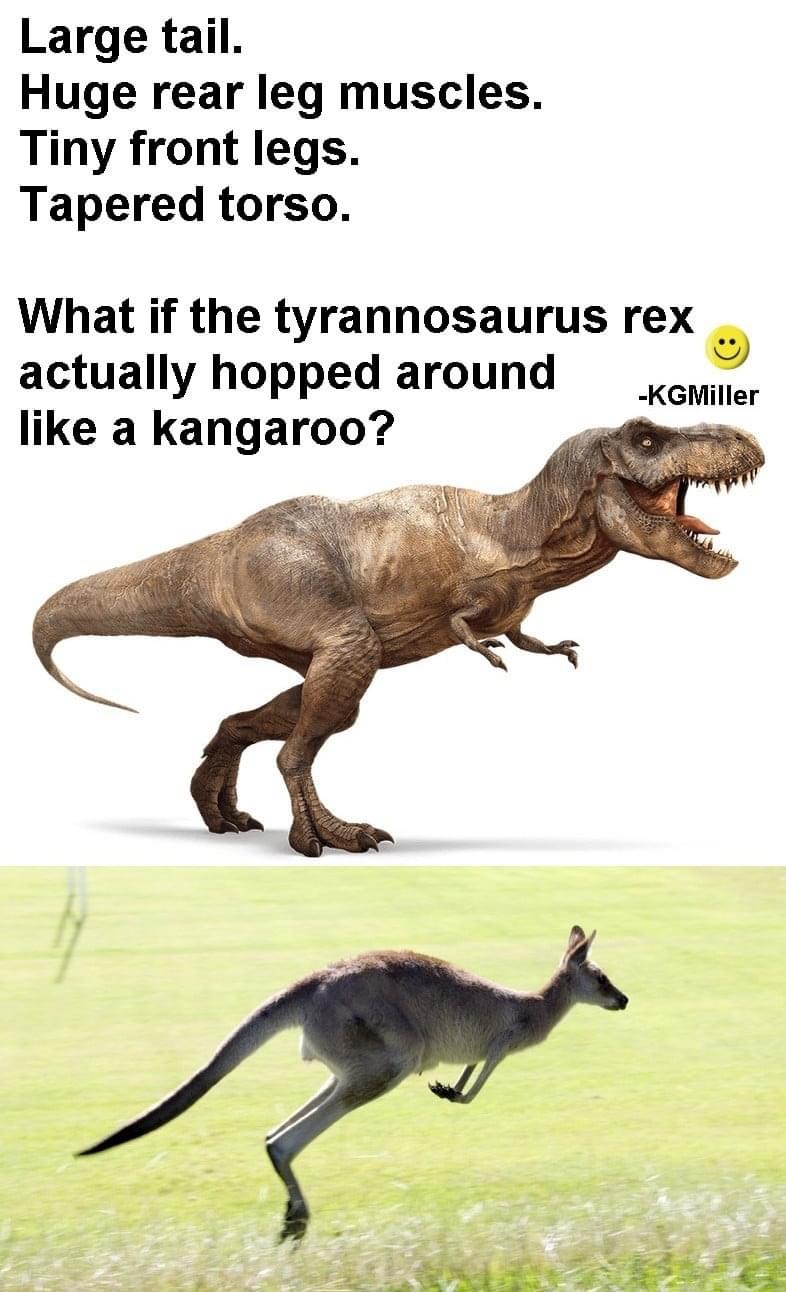 High Quality T. rex kangaroo Blank Meme Template