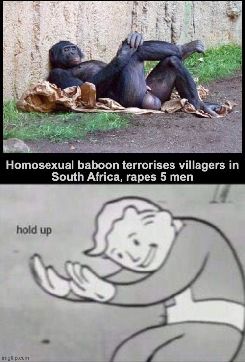 wtf | image tagged in fallout hold up,memes,africa | made w/ Imgflip meme maker