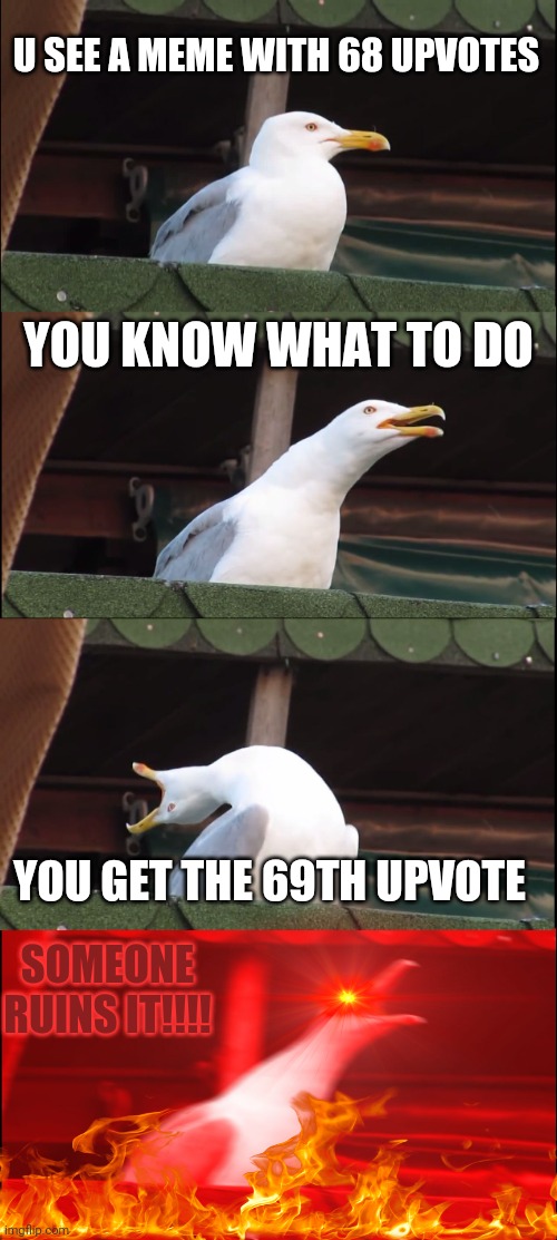 WHO DID IT WHO RUINED MY 69TH UPVOTE ON ANOTHER MEME | U SEE A MEME WITH 68 UPVOTES; YOU KNOW WHAT TO DO; YOU GET THE 69TH UPVOTE; SOMEONE RUINS IT!!!! | image tagged in memes,inhaling seagull | made w/ Imgflip meme maker
