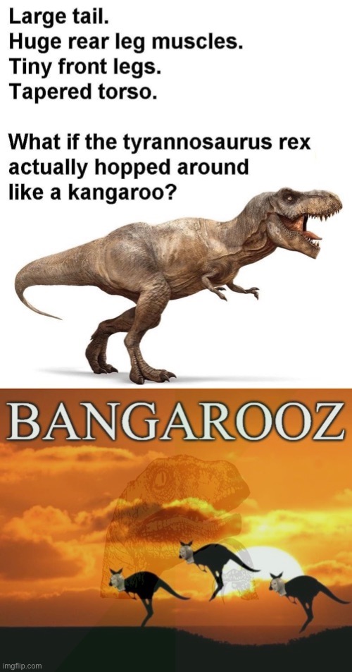 [shook] | image tagged in t rex bangarooz,kangaroo,kangaroos,t rex,philosophy dinosaur,philosoraptor | made w/ Imgflip meme maker