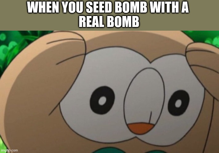 Seed Bomb | WHEN YOU SEED BOMB WITH A 
REAL BOMB | image tagged in memes | made w/ Imgflip meme maker
