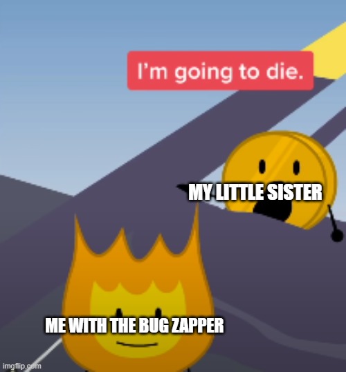 Bug zapper | MY LITTLE SISTER; ME WITH THE BUG ZAPPER | image tagged in coiny bfb im going to die | made w/ Imgflip meme maker