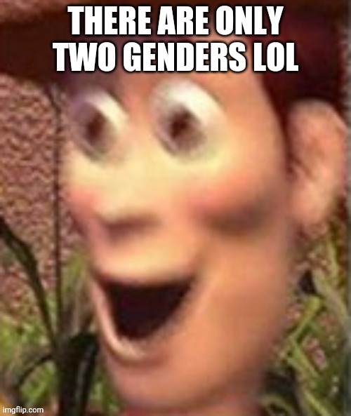 Well sh*t | THERE ARE ONLY TWO GENDERS LOL | image tagged in woody on crack | made w/ Imgflip meme maker