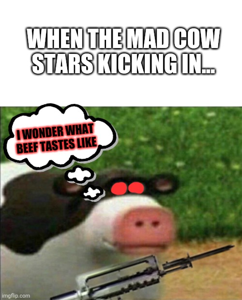 Mad perhaps cow | WHEN THE MAD COW STARS KICKING IN... I WONDER WHAT BEEF TASTES LIKE | image tagged in perhaps cow,mad,cow,get the gun,beef | made w/ Imgflip meme maker