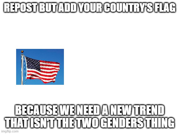 Next guy please whiteout that last text | REPOST BUT ADD YOUR COUNTRY'S FLAG; BECAUSE WE NEED A NEW TREND THAT ISN'T THE TWO GENDERS THING | image tagged in blank white template | made w/ Imgflip meme maker
