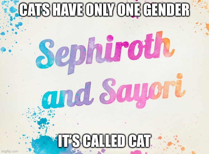 Sayori and Sephiroth | CATS HAVE ONLY ONE GENDER; IT’S CALLED CAT | image tagged in sayori and sephiroth | made w/ Imgflip meme maker