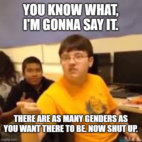 Im gonna say it | YOU KNOW WHAT, I'M GONNA SAY IT. THERE ARE AS MANY GENDERS AS YOU WANT THERE TO BE. NOW SHUT UP. | image tagged in im gonna say it | made w/ Imgflip meme maker
