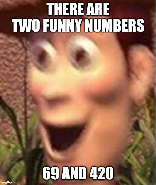 Haahahahahah | THERE ARE TWO FUNNY NUMBERS; 69 AND 420 | image tagged in woody on crack | made w/ Imgflip meme maker