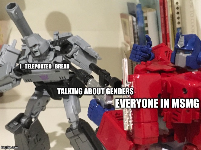 Optimus shoots megatron | I_TELEPORTED_BREAD; TALKING ABOUT GENDERS; EVERYONE IN MSMG | image tagged in optimus shoots megatron | made w/ Imgflip meme maker