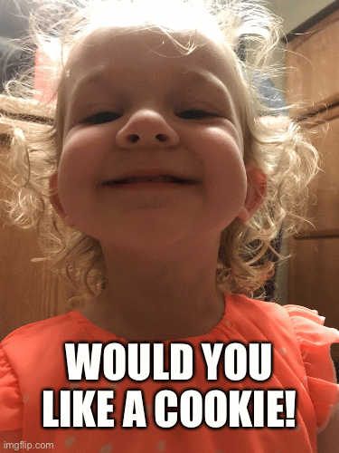 Sup grandma | WOULD YOU LIKE A COOKIE! | image tagged in gifs,girl scout cookies | made w/ Imgflip images-to-gif maker