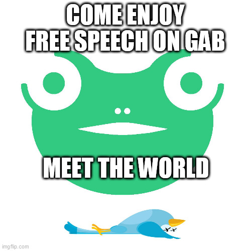 Gab vs Twitter | COME ENJOY FREE SPEECH ON GAB; MEET THE WORLD | image tagged in gab vs twitter | made w/ Imgflip meme maker