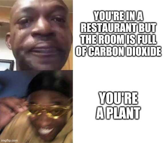 Black Guy Crying and Black Guy Laughing | YOU'RE IN A RESTAURANT BUT THE ROOM IS FULL OF CARBON DIOXIDE; YOU'RE A PLANT | image tagged in black guy crying and black guy laughing | made w/ Imgflip meme maker