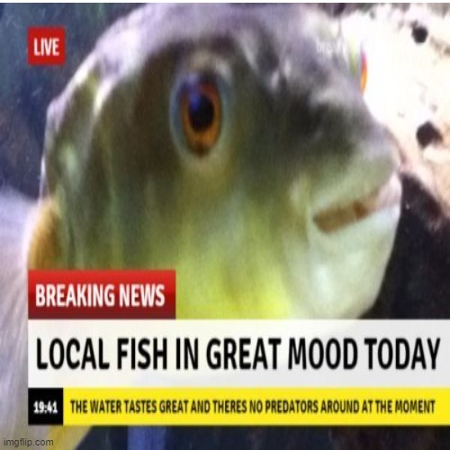 yes i bet hes in a good mood | image tagged in funny meme | made w/ Imgflip meme maker