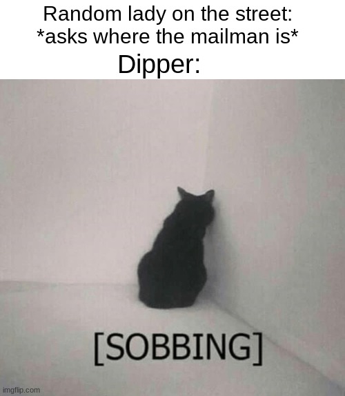 Sobbing cat |  Random lady on the street: *asks where the mailman is*; Dipper: | image tagged in sobbing cat,funny,memes,gravity falls,dipper pines | made w/ Imgflip meme maker