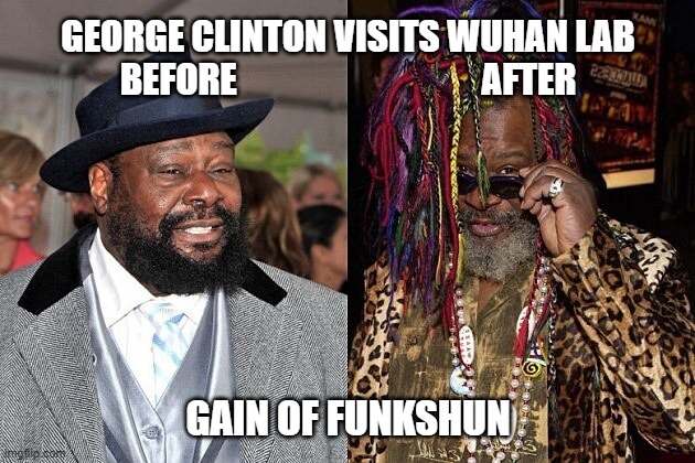 gain of function | GEORGE CLINTON VISITS WUHAN LAB
BEFORE                                  AFTER; GAIN OF FUNKSHUN | image tagged in george clinton,wuhan lab,funk,funkadelic,gain of function | made w/ Imgflip meme maker