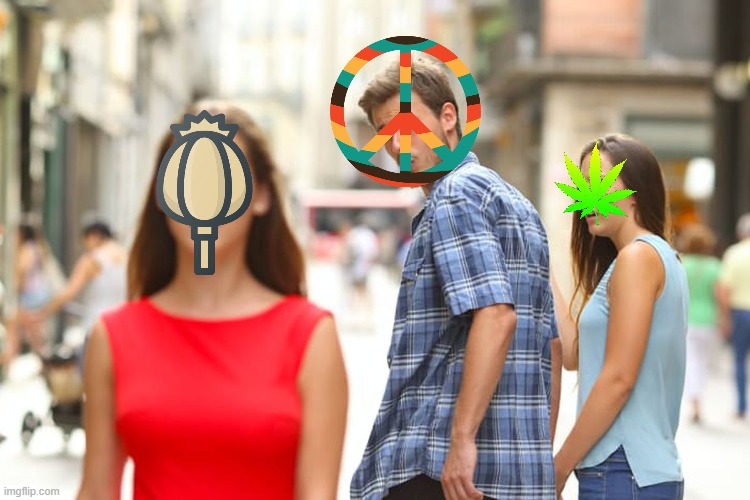 Hippie & dopes | image tagged in memes,distracted boyfriend,drugs | made w/ Imgflip meme maker