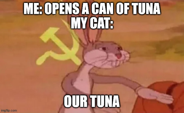 Sharing is caring | ME: OPENS A CAN OF TUNA
MY CAT:; OUR TUNA | image tagged in bugs bunny communist,memes,cats,fish,tuna,share | made w/ Imgflip meme maker