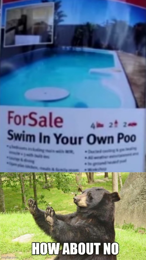 Swim in your own poo? | image tagged in how about no bear,funny,memes,funny memes,pool | made w/ Imgflip meme maker