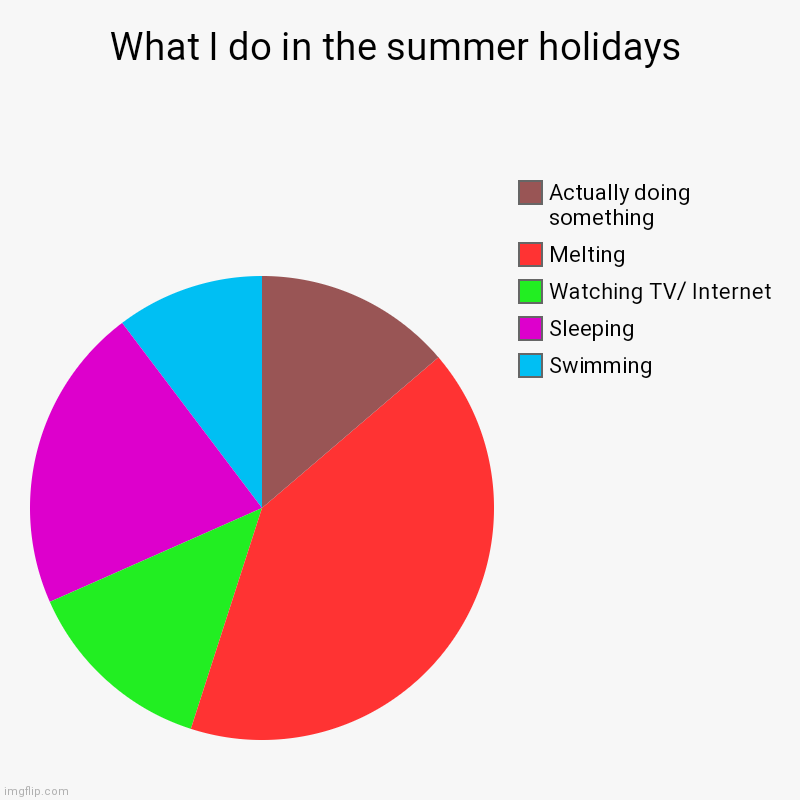 What I do in the summer holidays | Swimming, Sleeping, Watching TV/ Internet, Melting, Actually doing something | image tagged in charts,pie charts,summer vacation | made w/ Imgflip chart maker