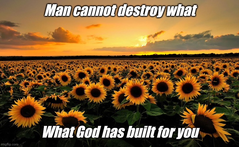 Greater is He |  Man cannot destroy what; What God has built for you | image tagged in field of sunflowers | made w/ Imgflip meme maker
